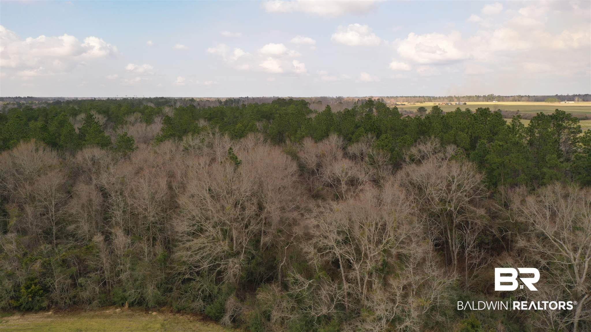 1 North Pine Barren Road Century, FL 32535 - Photo 22 of 25