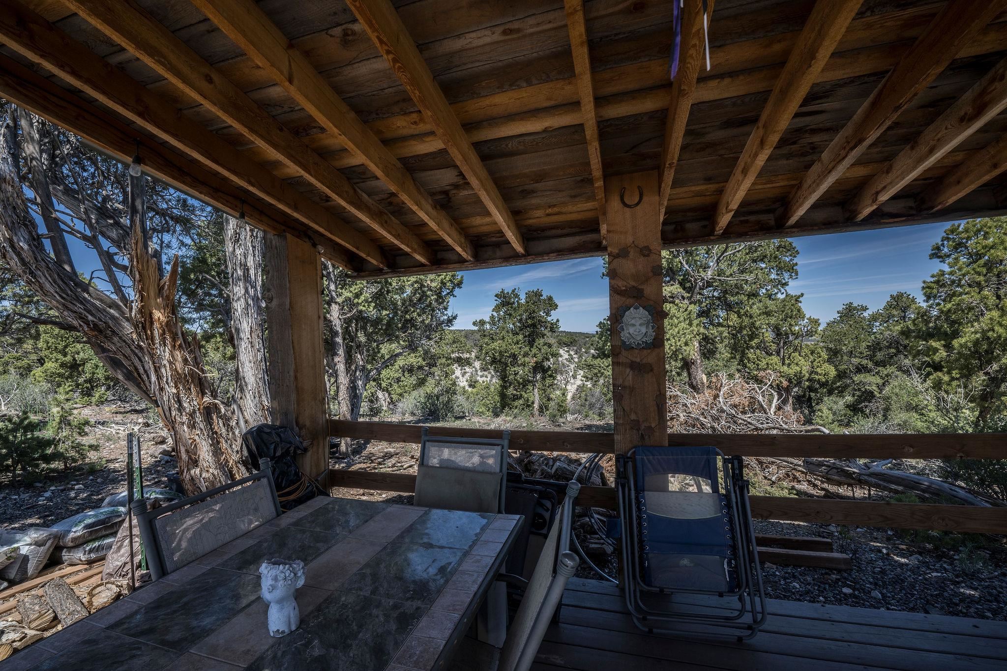 19958 Miller Canyon Ranch Road Glade Park, CO 81523 - Photo 23 of 42 a view of a porch with furniture and a yard