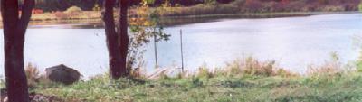 Primary Photo