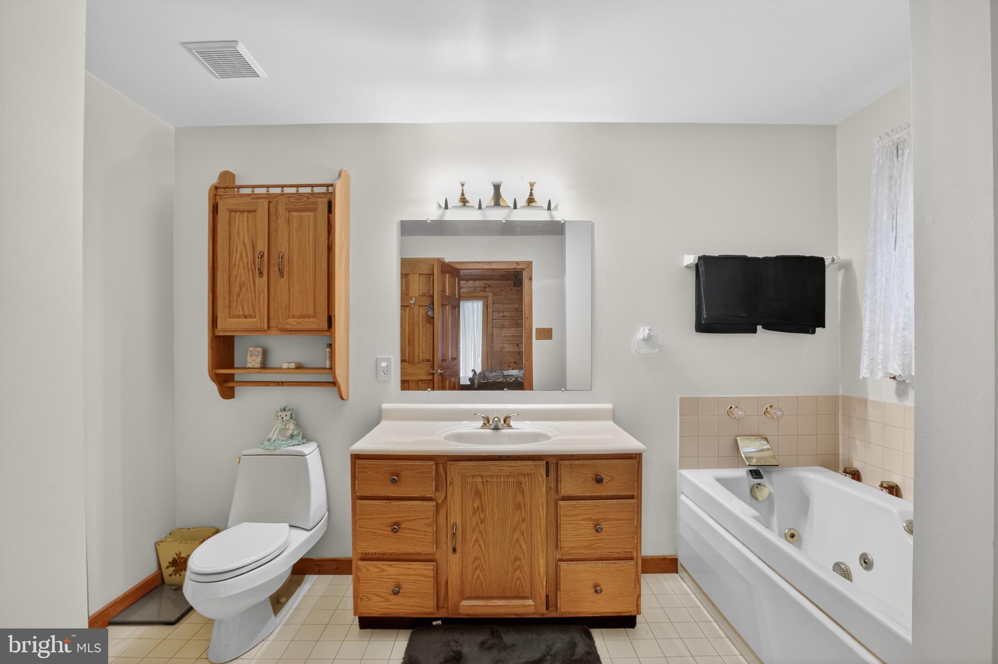 14575 Honeysuckle Way Issue, MD 20645 - Photo 26 of 49 a bathroom with a sink a toilet and mirror