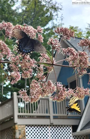 $999,999 | 225 Henry's Glen Drive, Morganton, NC 28655