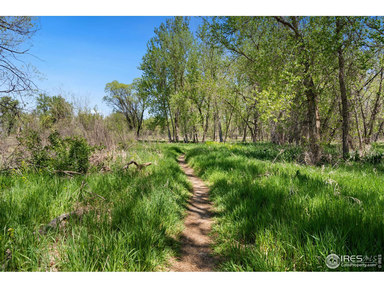 605 Riverside Court Greeley, CO 80634 - Photo 1 of 1 Gallery Image 1