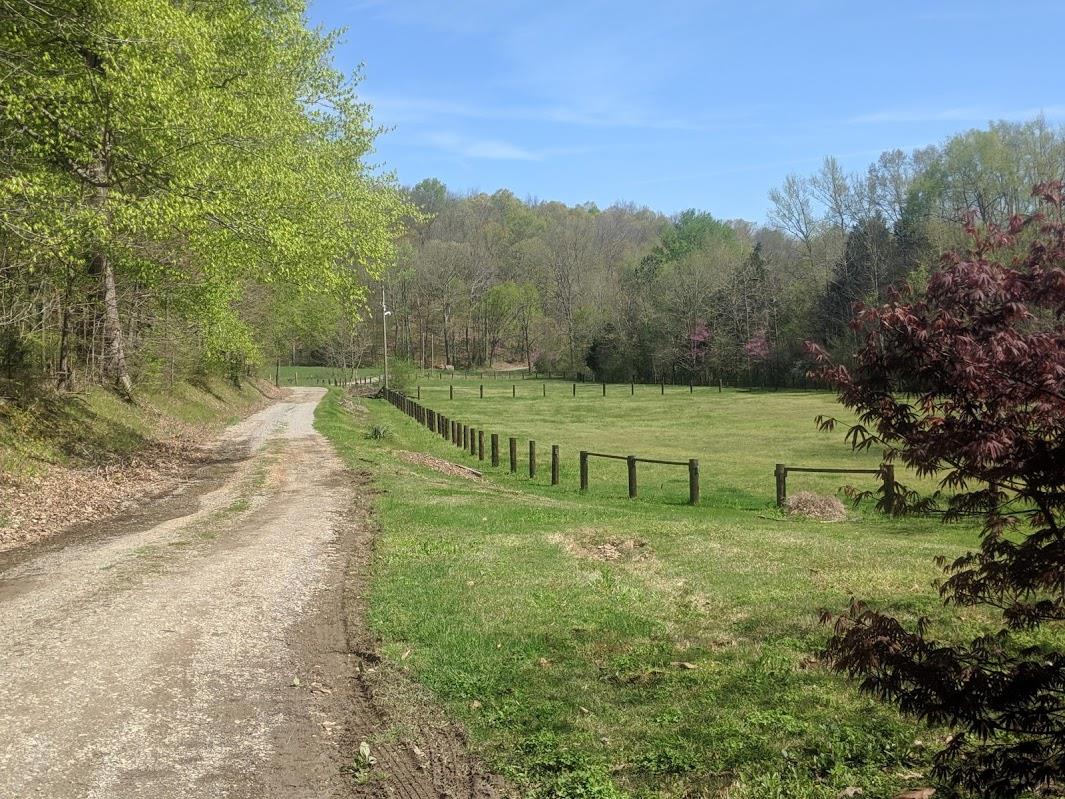 233 Lockwood Hollow Road Dover, TN 37058 - Photo 4 of 15 Gallery Image 4