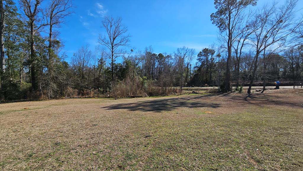 1964 County Line Road Dothan, AL 36305 - Photo 76 of 92