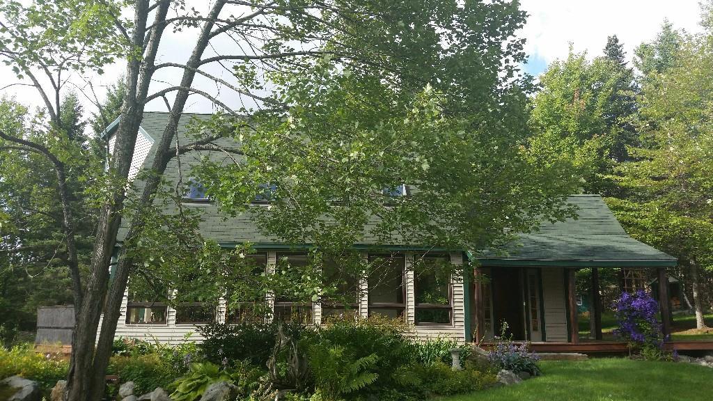 247 Mingo Loop Road Rangeley, ME 04970 - Photo 10 of 34 Lots of windows, south facing for...