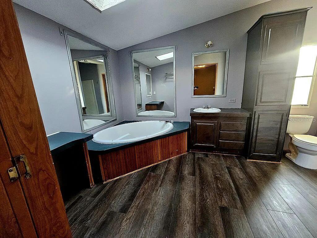39730 East Cemetery Road Umatilla, FL 32784 - Photo 3 of 4 a spacious bathroom with a sink a mirror and a bathtub