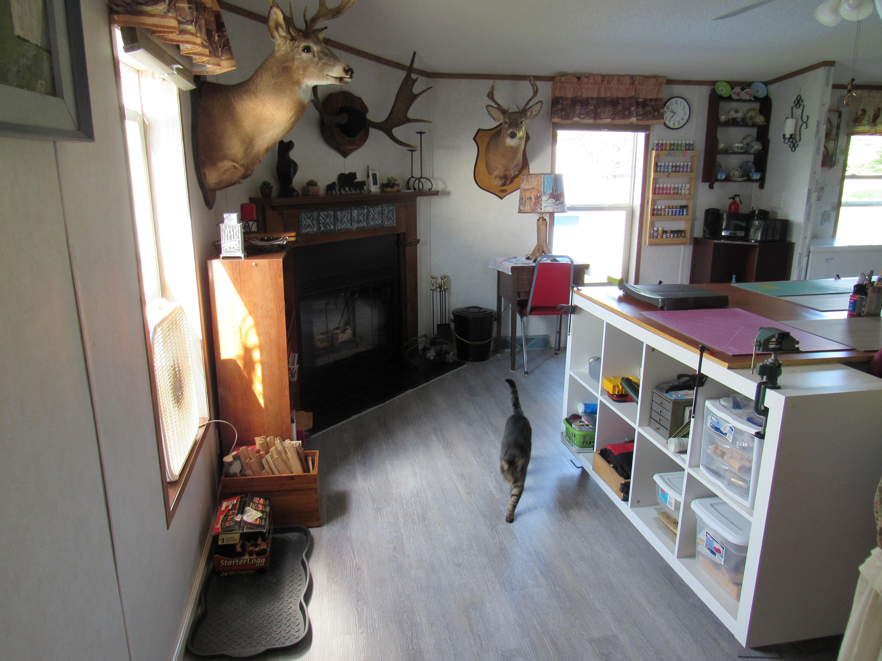 36 Talpey Road Jackman, ME 04945 - Photo 9 of 23 IMG_4428