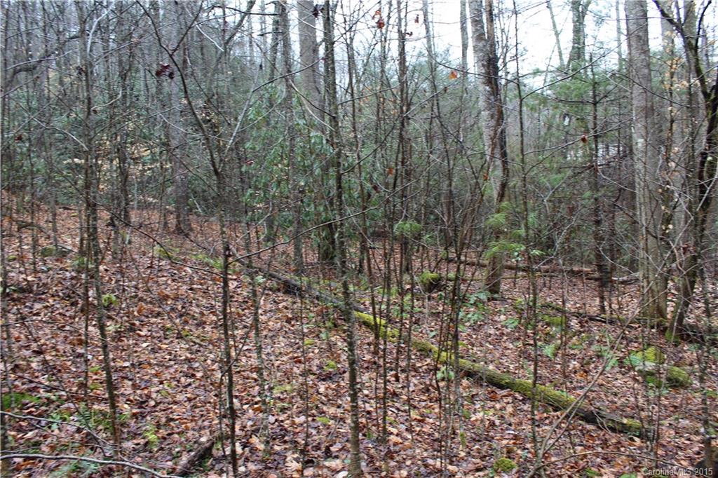 99999 Hebron Road Hendersonville, NC 28739 - Photo 2 of 11