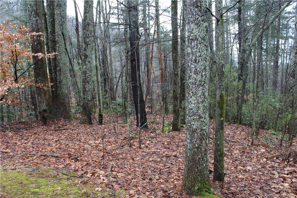 99999 Hebron Road Hendersonville, NC 28739 - Photo 11 of 11