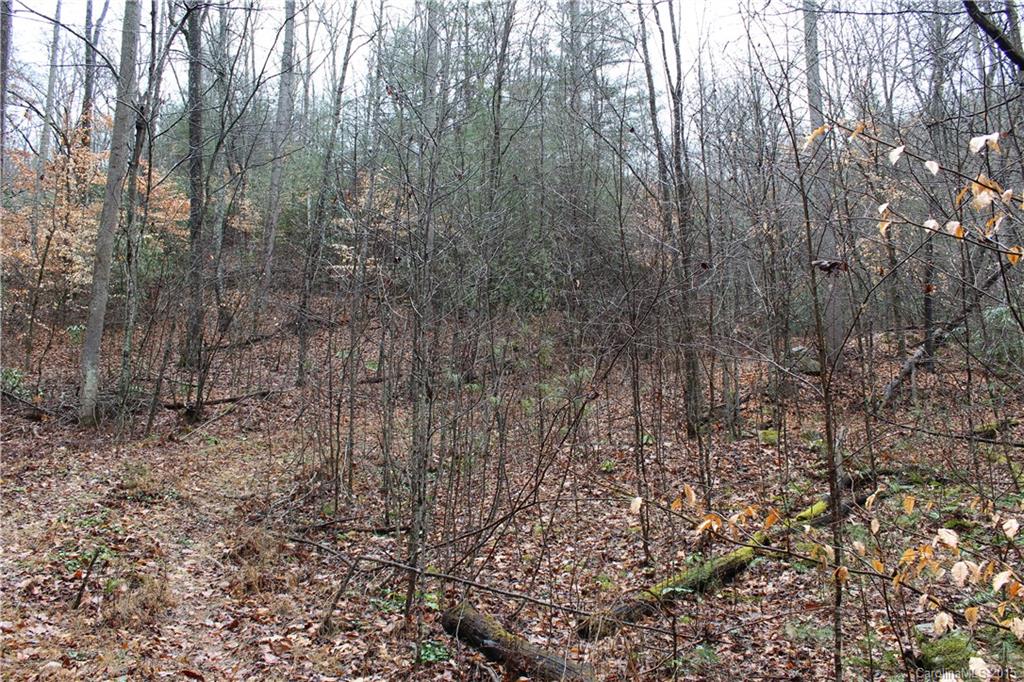 99999 Hebron Road Hendersonville, NC 28739 - Photo 5 of 11