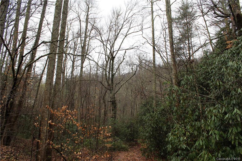 99999 Hebron Road Hendersonville, NC 28739 - Photo 7 of 11