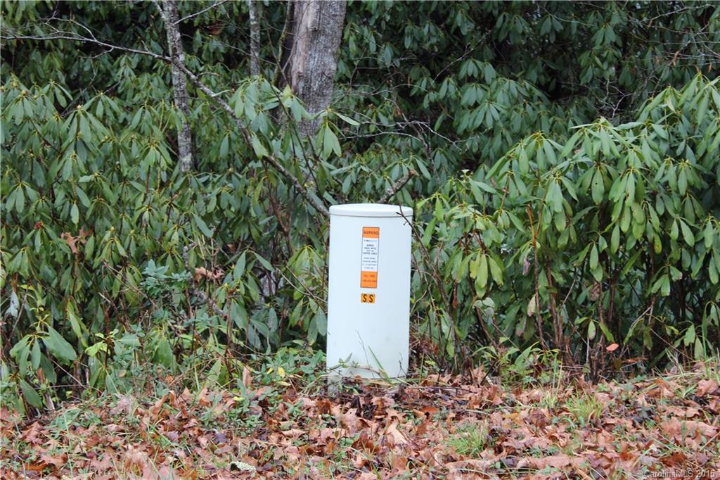 99999 Hebron Road Hendersonville, NC 28739 - Photo 8 of 11