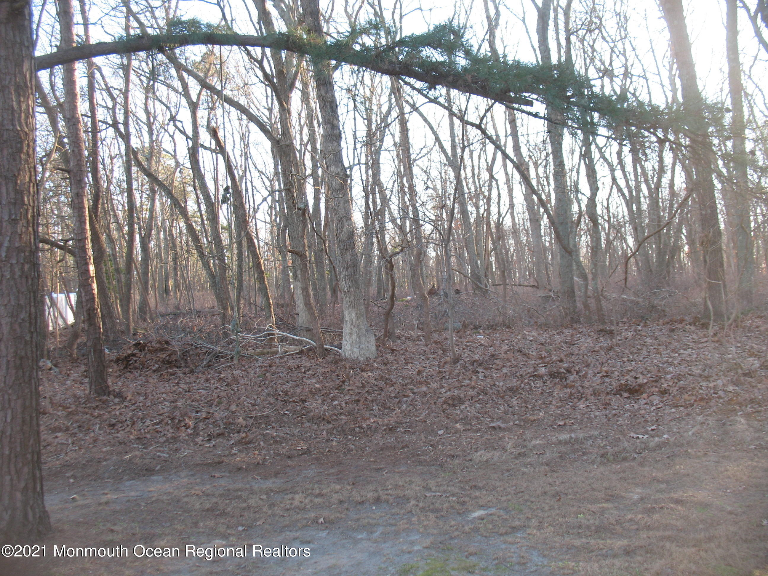 222 Windeler Road Howell, NJ 07731 - Photo 16 of 17 a backyard of a house with lots of green space