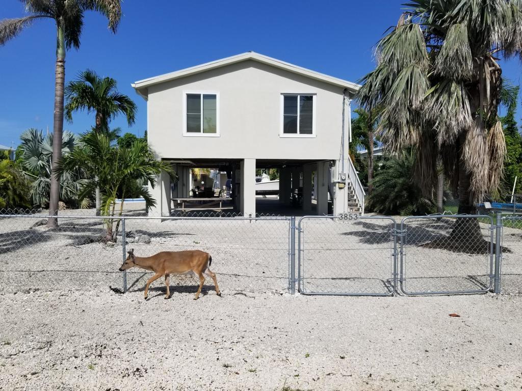 3853 Gillott Road Big Pine Key, FL 33043 - Photo 1 of 44 20180628173053412259000000-o
