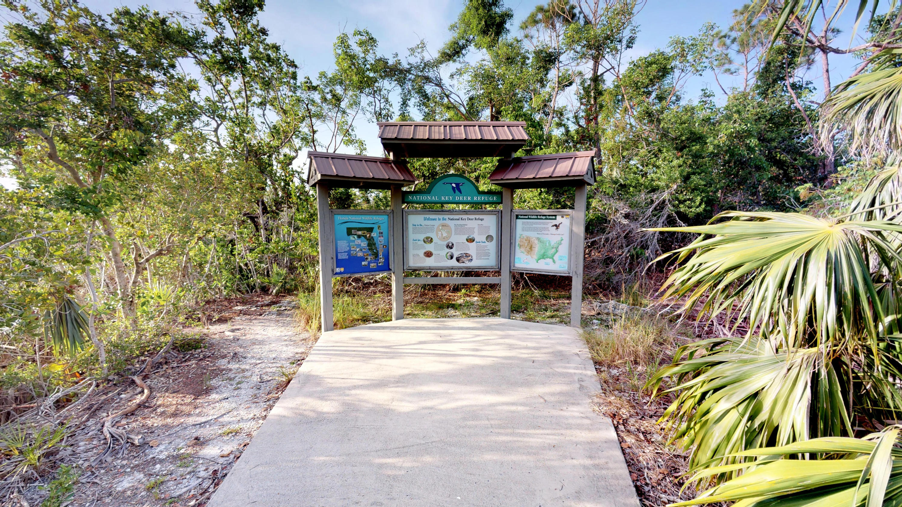 3853 Gillott Road Big Pine Key, FL 33043 - Photo 42 of 44 UcKXMYWifnf - 06.28.2018_14.24.17