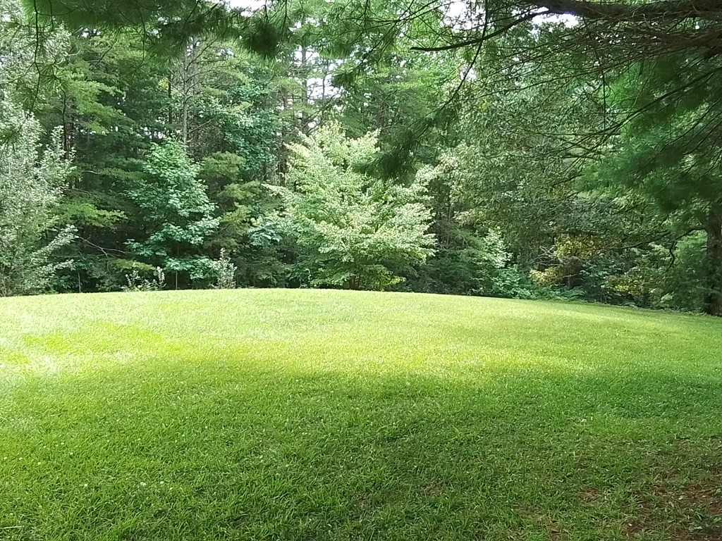 1378 N Morrow Road Murphy, NC 28906 - Photo 12 of 53 Gallery Image 12
