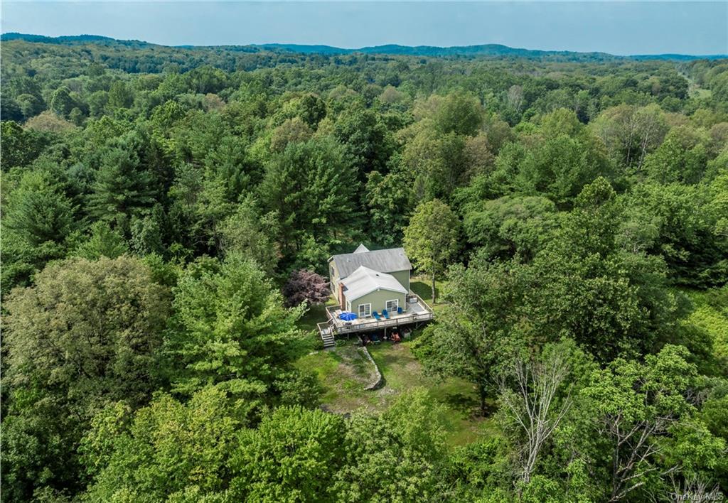 7 South Shanks Road Clinton Corners, NY 12514 - Photo 11 of 35 Drone / aerial view