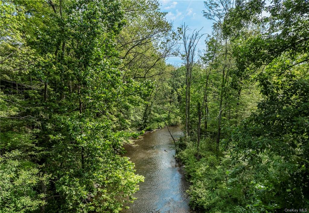 7 South Shanks Road Clinton Corners, NY 12514 - Photo 33 of 35 Water view