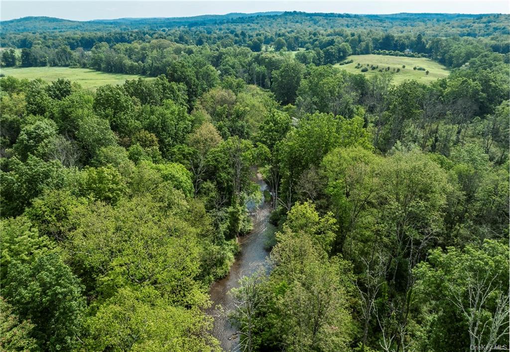 7 South Shanks Road Clinton Corners, NY 12514 - Photo 35 of 35 Drone / aerial view of stream.