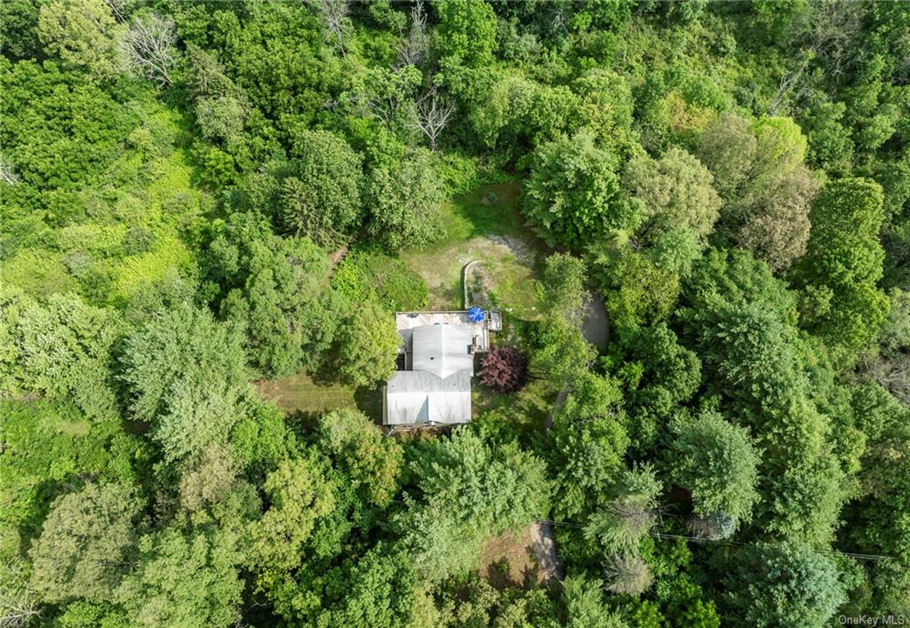 7 South Shanks Road Clinton Corners, NY 12514 - Photo 8 of 35 Drone / aerial view