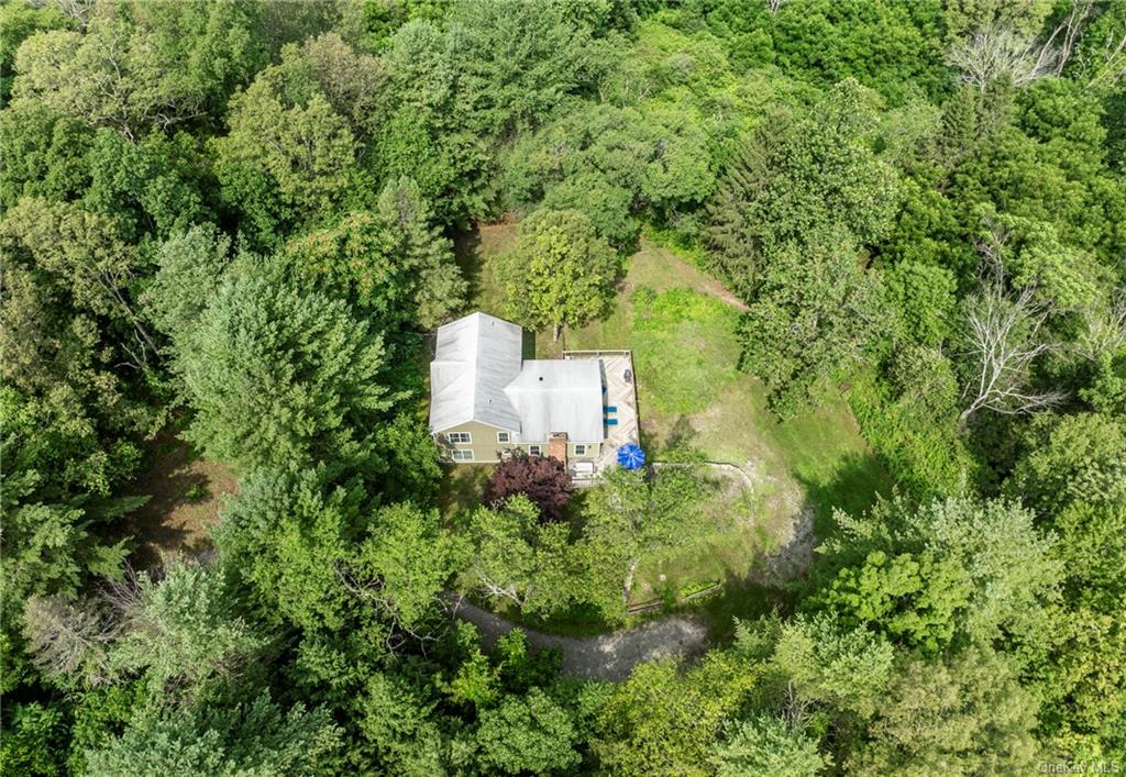 7 South Shanks Road Clinton Corners, NY 12514 - Photo 9 of 35 Birds eye view of property