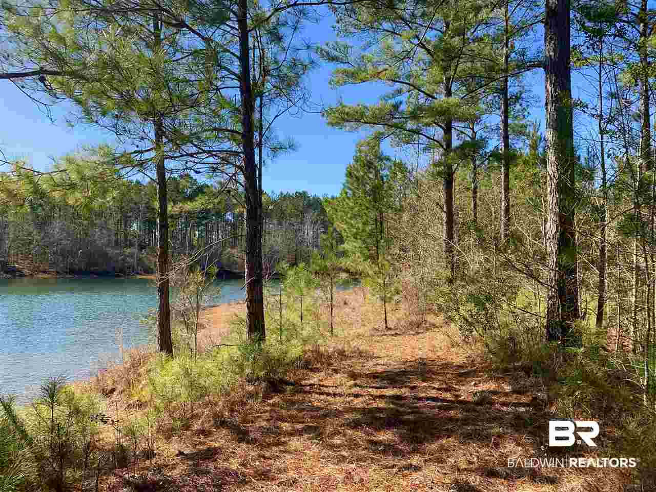 0 Sexton Brg Road Luverne, AL 36049 - Photo 36 of 50
