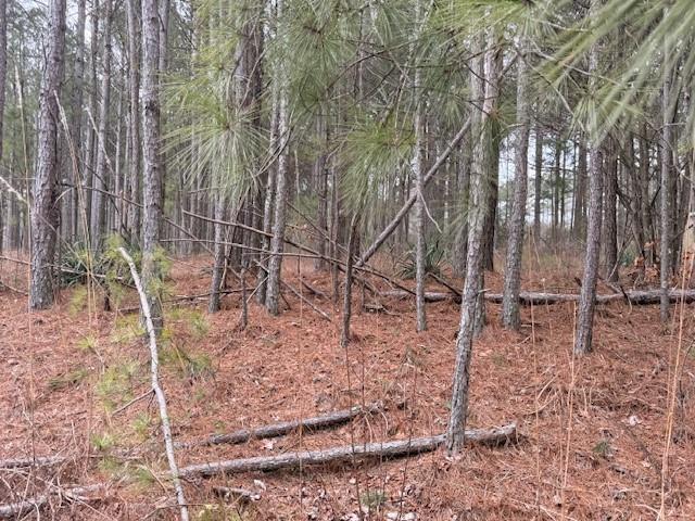 266 Old Yorkville Road Dallas, GA 30157 - Photo 4 of 5 a backyard of a house with lots of green space and chair