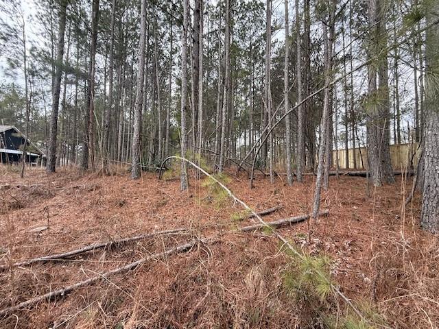 266 Old Yorkville Road Dallas, GA 30157 - Photo 5 of 5 a backyard of a house with lots of green space