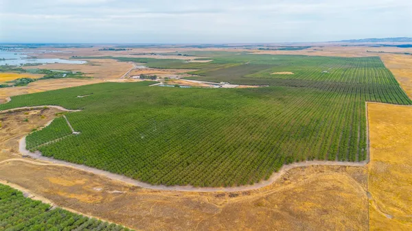 a view of a field with an ocean view