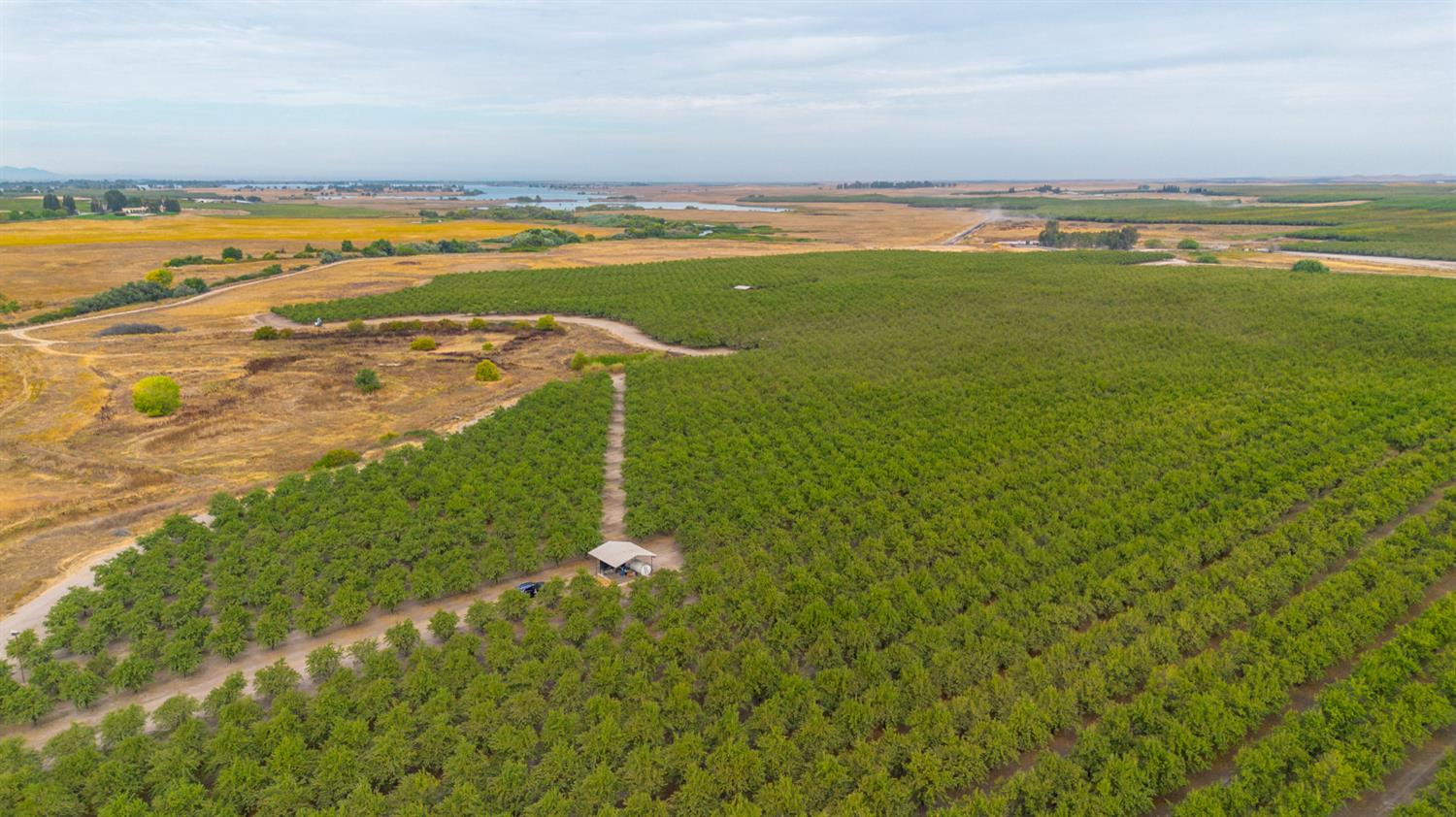 28 28 Mile Road Oakdale, CA 95361 - Photo 14 of 17