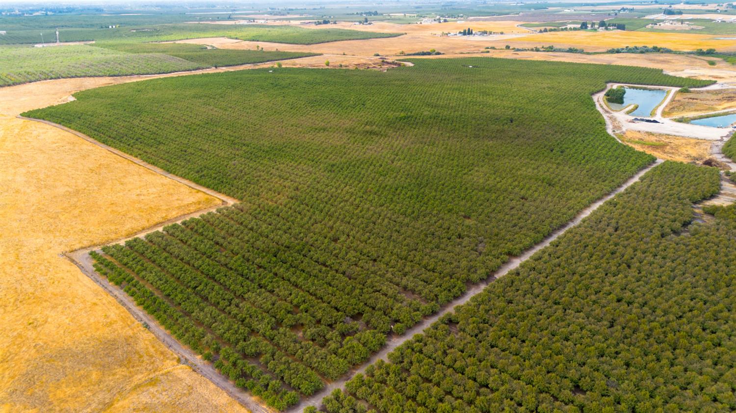 28 28 Mile Road Oakdale, CA 95361 - Photo 15 of 17