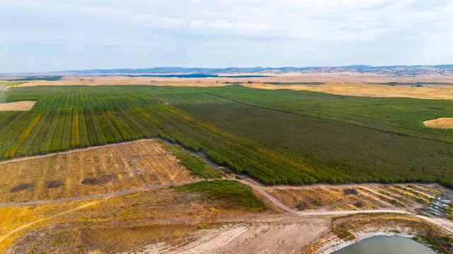 $9,525,000 | 28 28 Mile Road, Oakdale, CA 95361