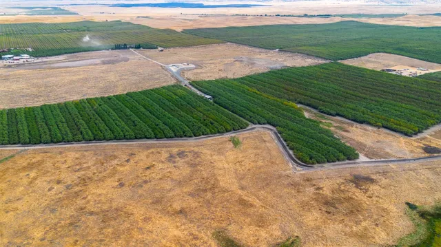 a view of outdoor space and yard
