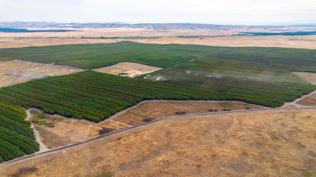 a view of a lake from a yard