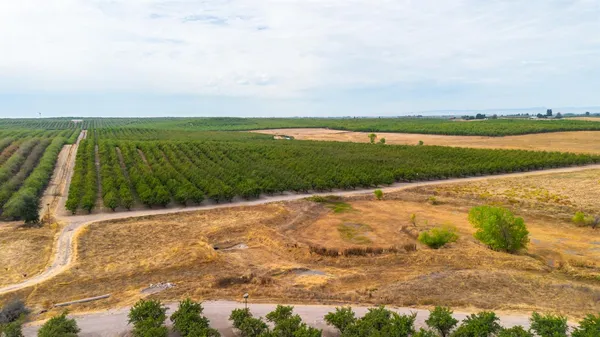 a view of an ocean beach