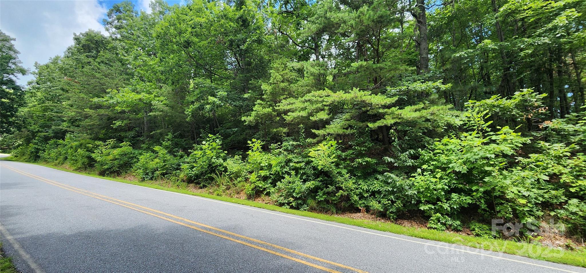 Lot 36 White Oak Mountain Road Columbus, NC 28722 - Photo 15 of 15