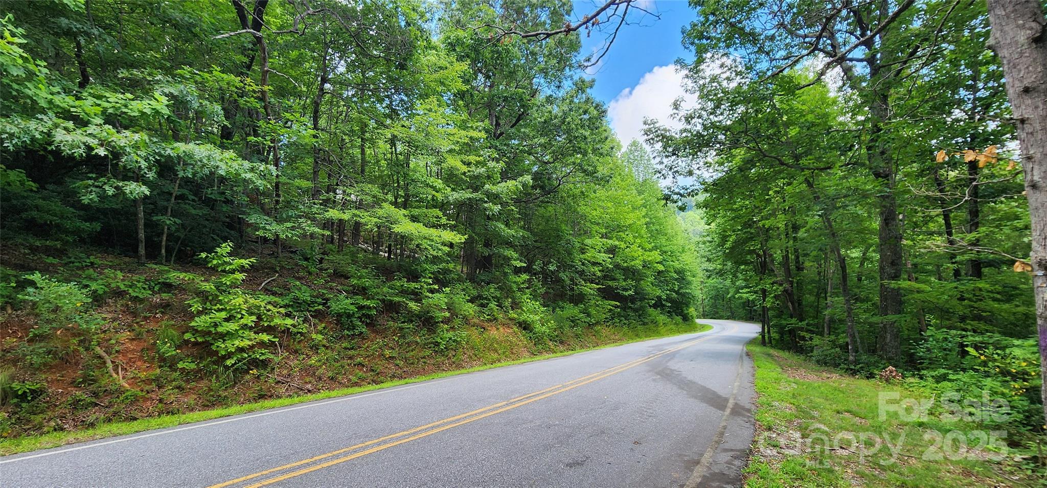 Lot 36 White Oak Mountain Road Columbus, NC 28722 - Photo 4 of 15
