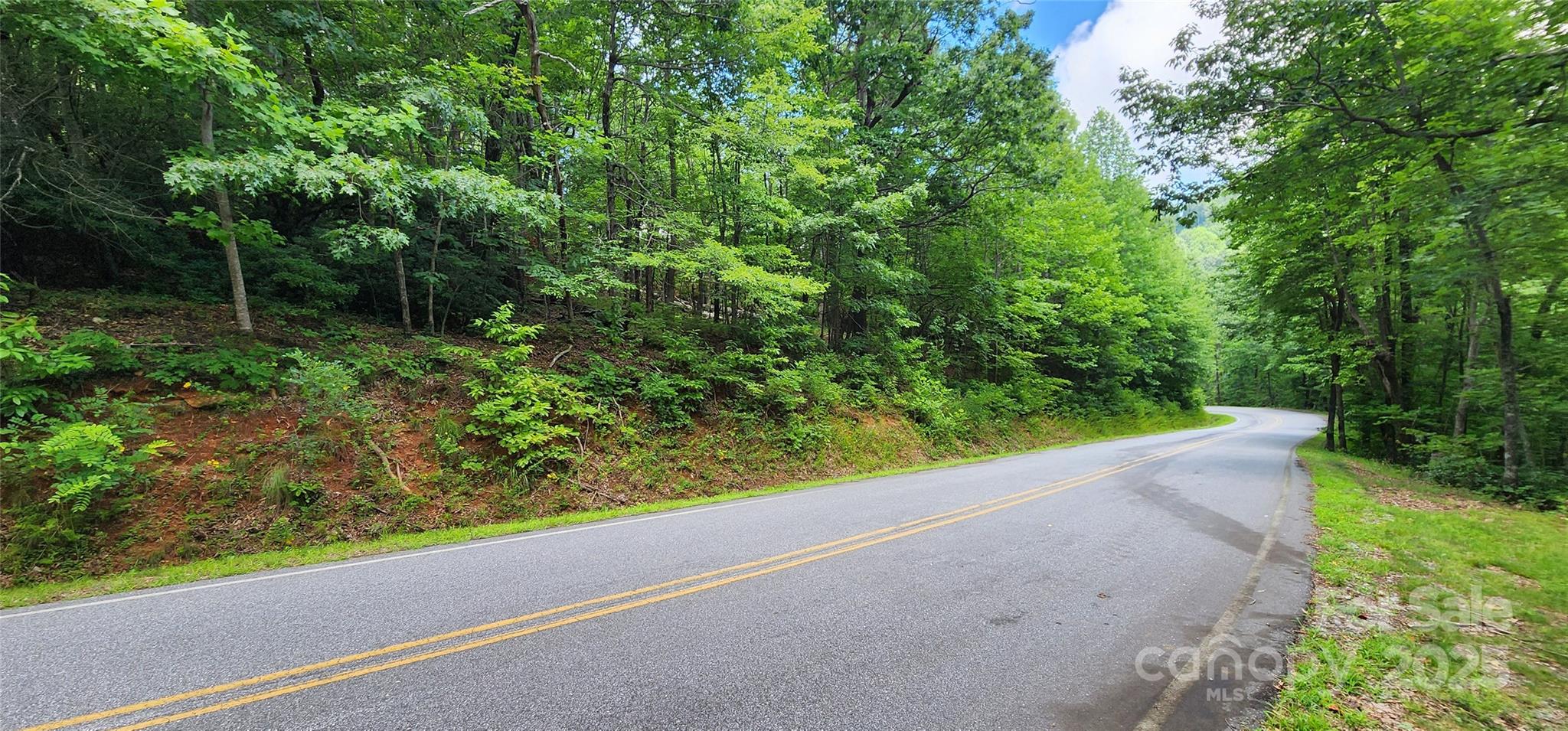 Lot 36 White Oak Mountain Road Columbus, NC 28722 - Photo 5 of 15