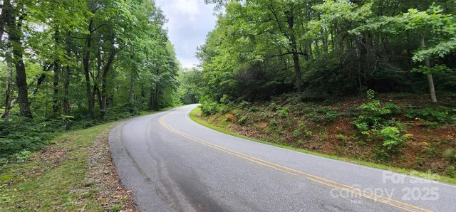 $19,000 | Lot 36 White Oak Mountain Road, Columbus, NC 28722
