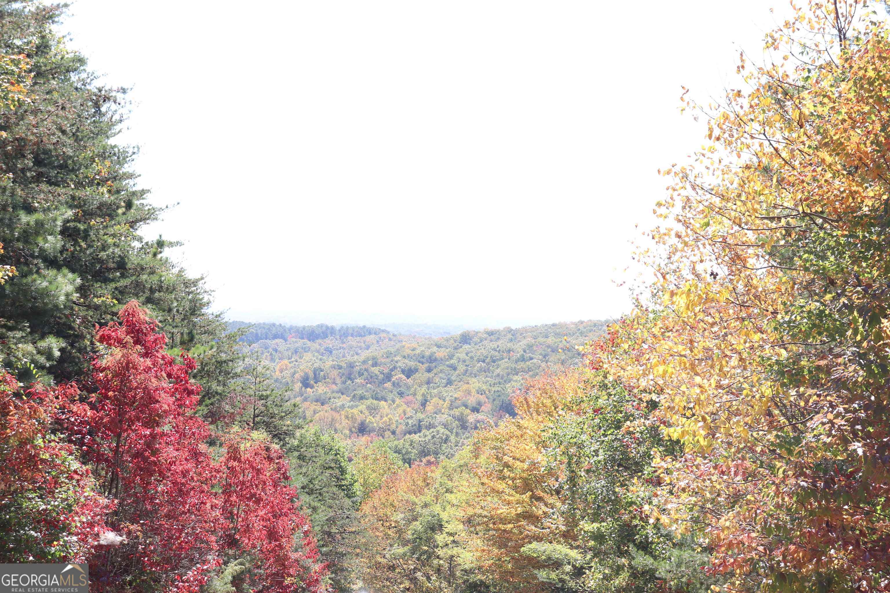 0 Highlands Lake Trail Road, Unit LOT 42 Clarkesville, GA 30523 - Photo 1 of 1 a view of a yard