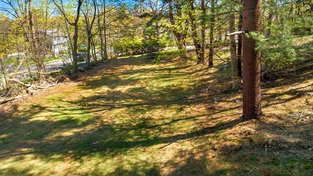 58 Chestnut Street Lynnfield, MA 01940 - Photo 6 of 8 a view of a yard with trees