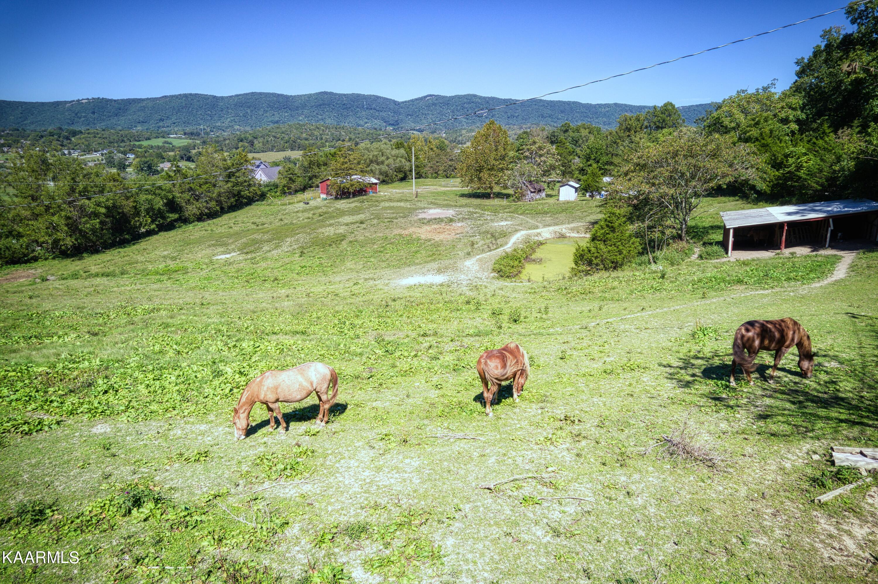 238 Mt Zion Road Jacksboro, TN 37757 - Photo 15 of 21 River Rd_17