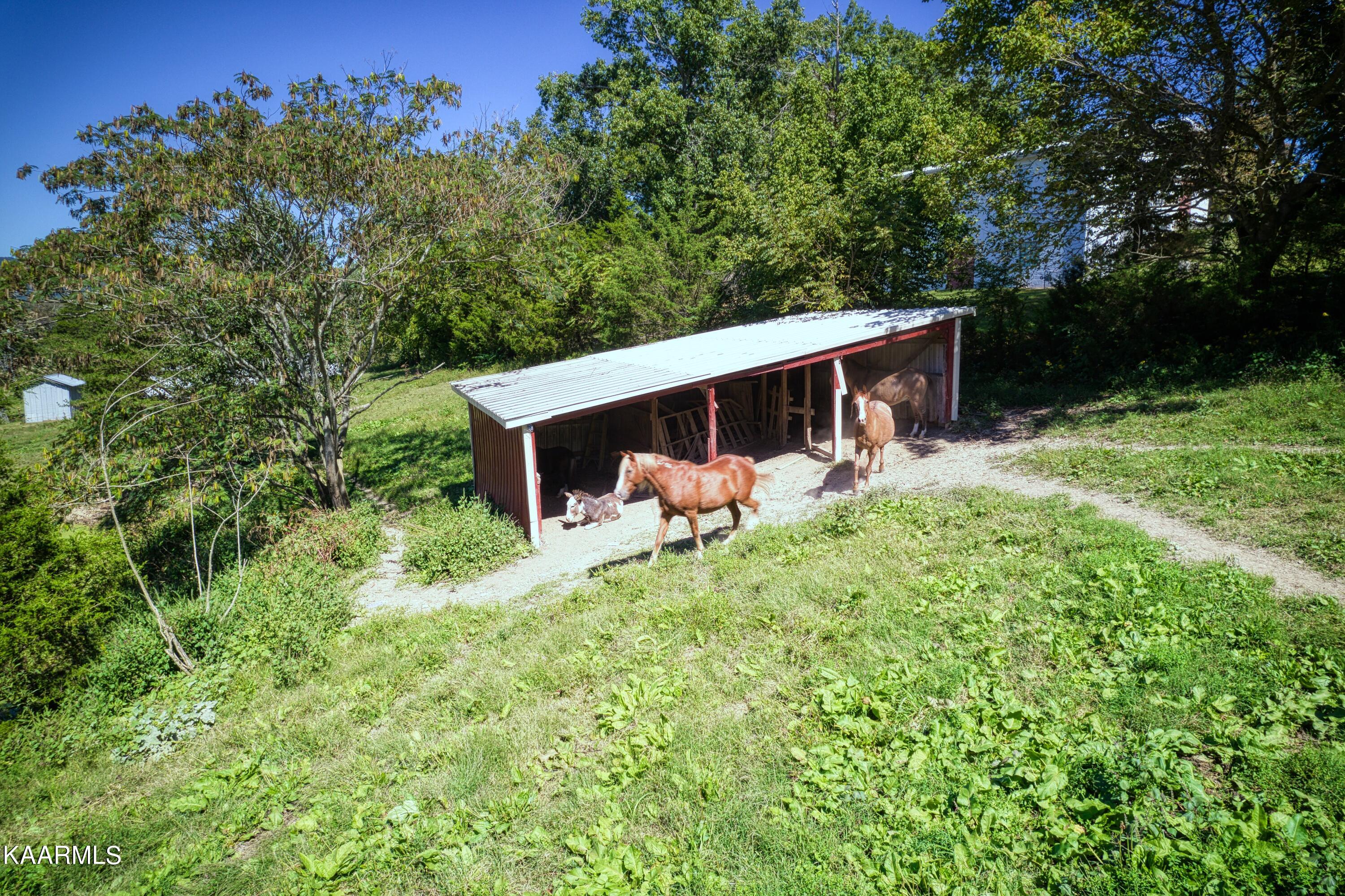 238 Mt Zion Road Jacksboro, TN 37757 - Photo 17 of 21 River Rd_31