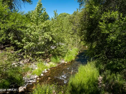 a view of a lush green forest