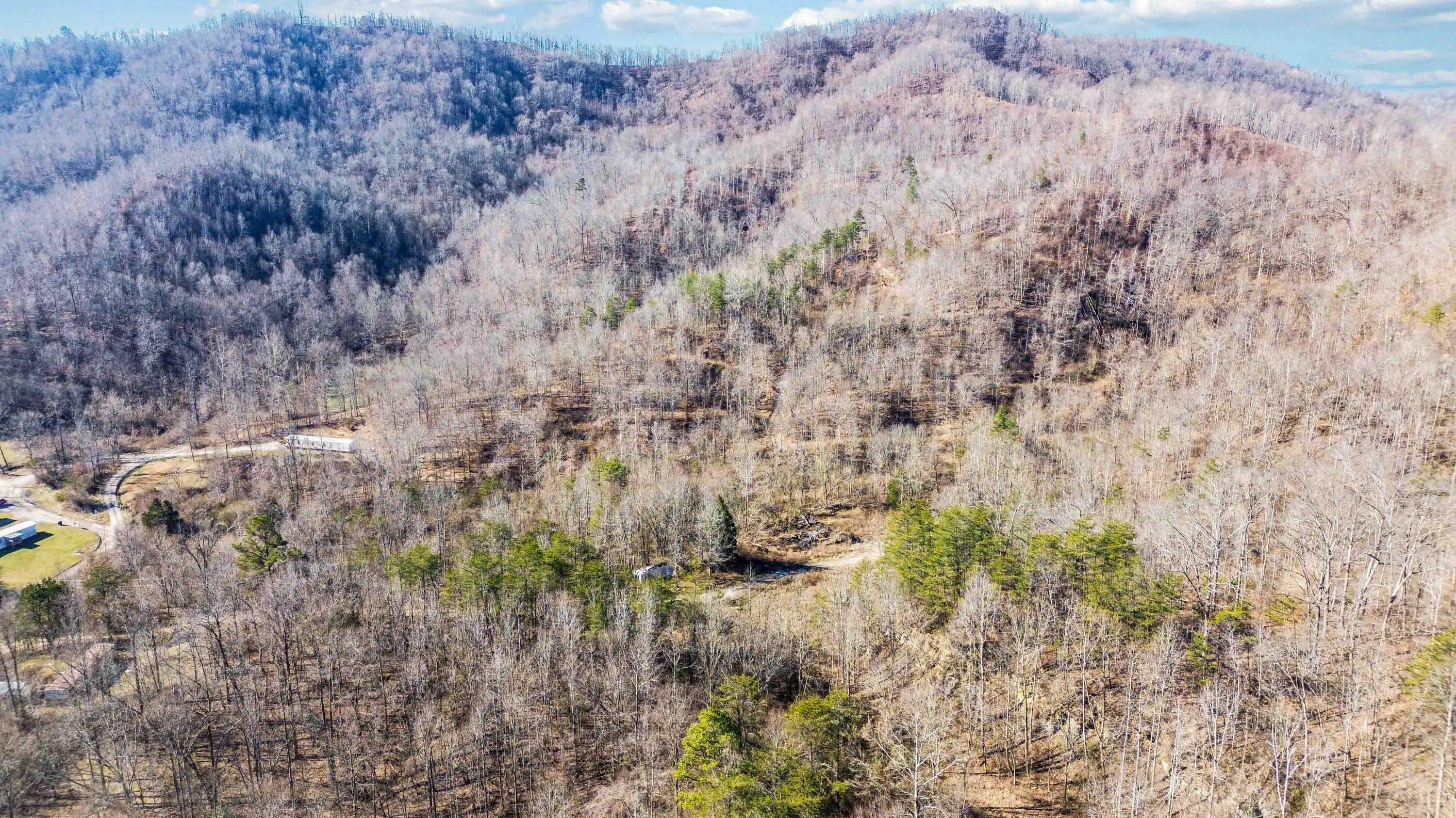 554 Sukey Hollow Road Williamsburg, KY 40769 - Photo 8 of 15 007