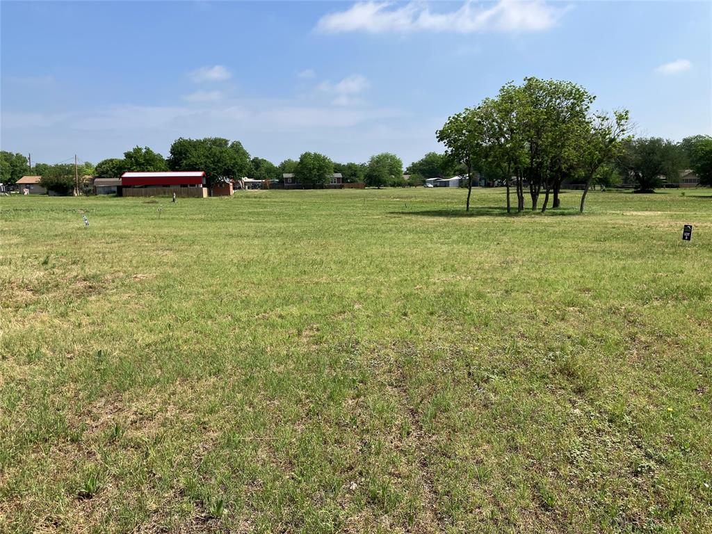 0 Hawk Street Dublin, TX 76446 - Photo 26 of 26 a view of a park with large trees