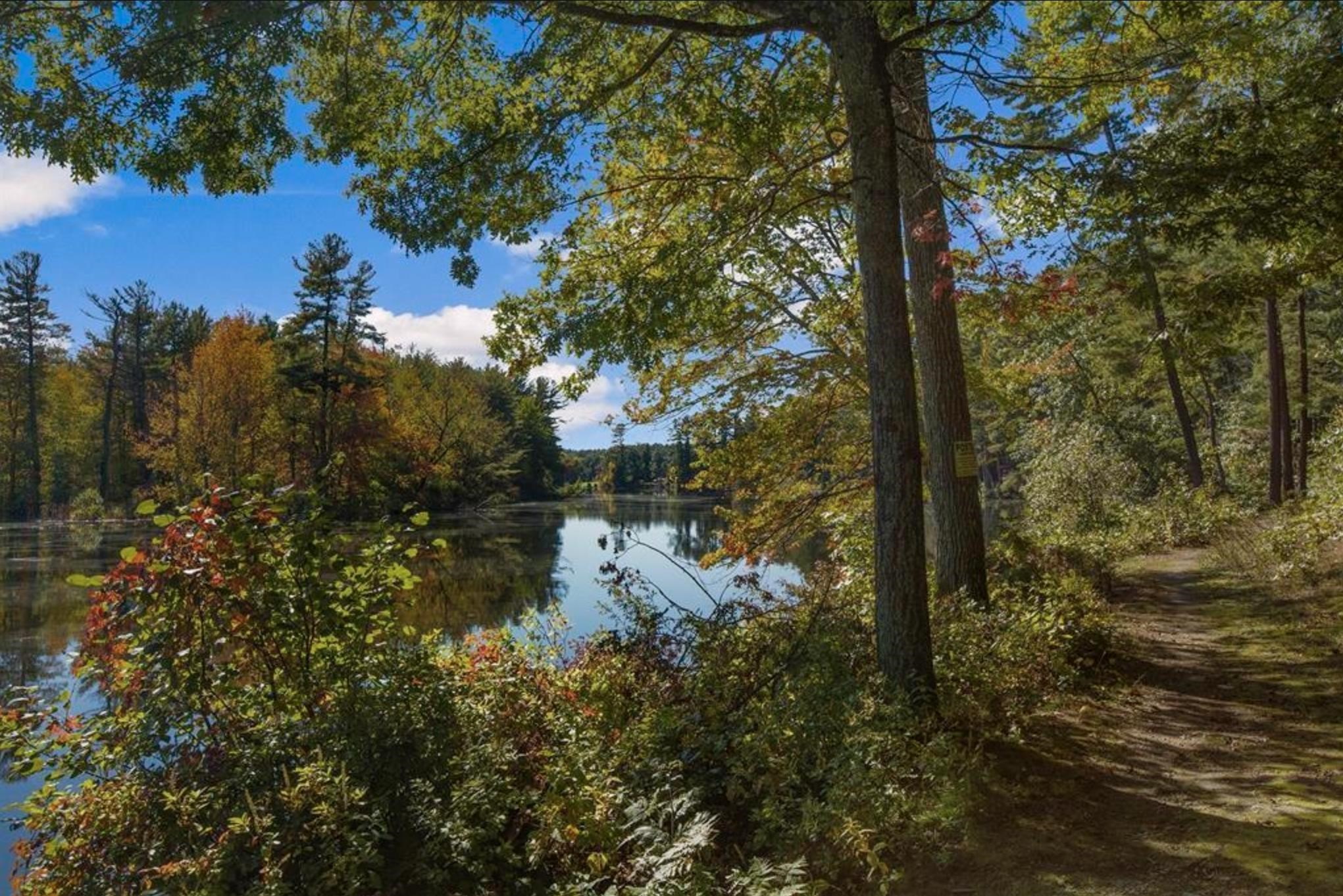 170 Bartemus Trail Nashua, NH 03063 - Photo 3 of 33