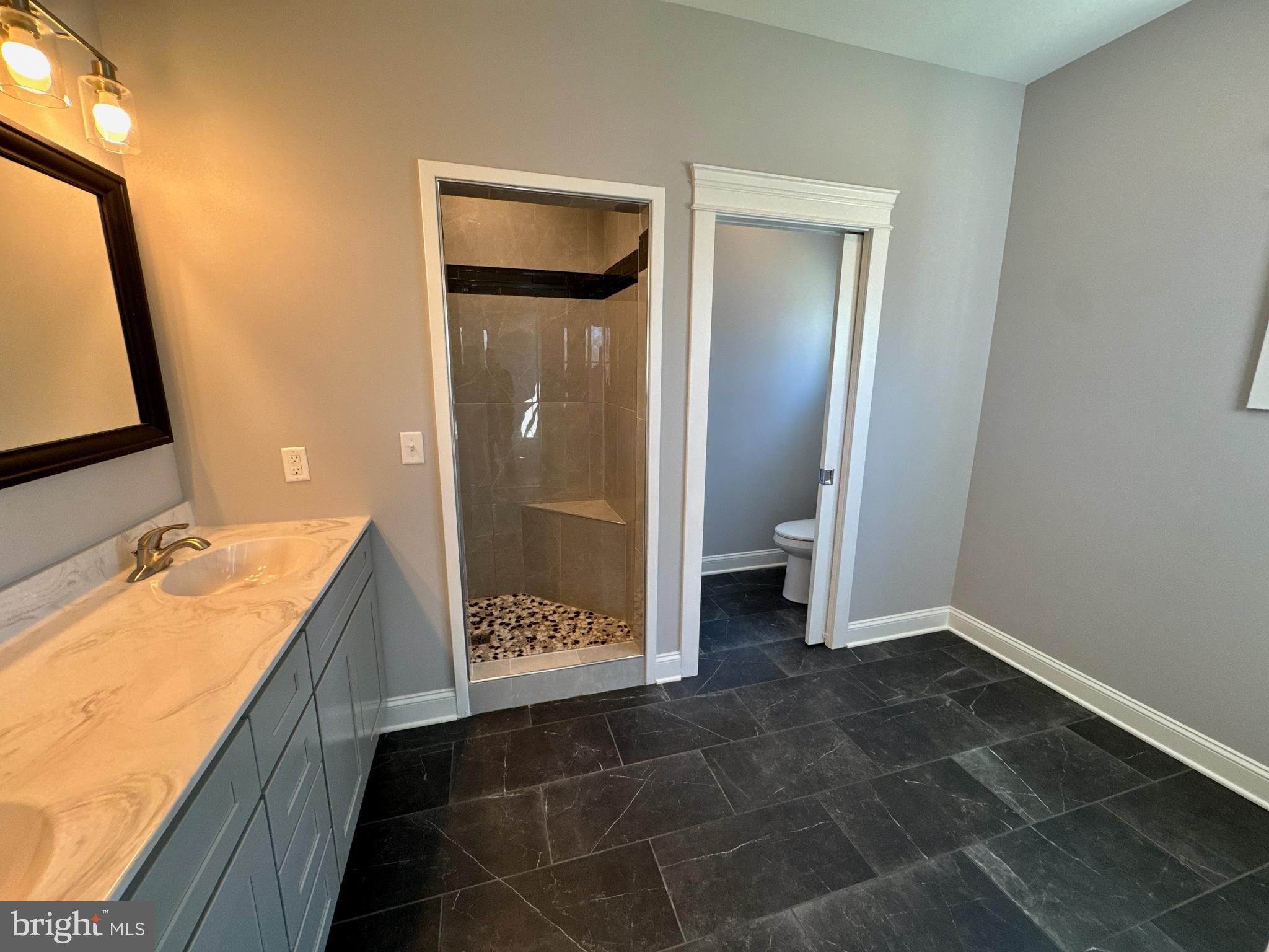 4413 Lyn Wood Drive Spring Grove, PA 17362 - Photo 44 of 75 Primary Bedroom Bath