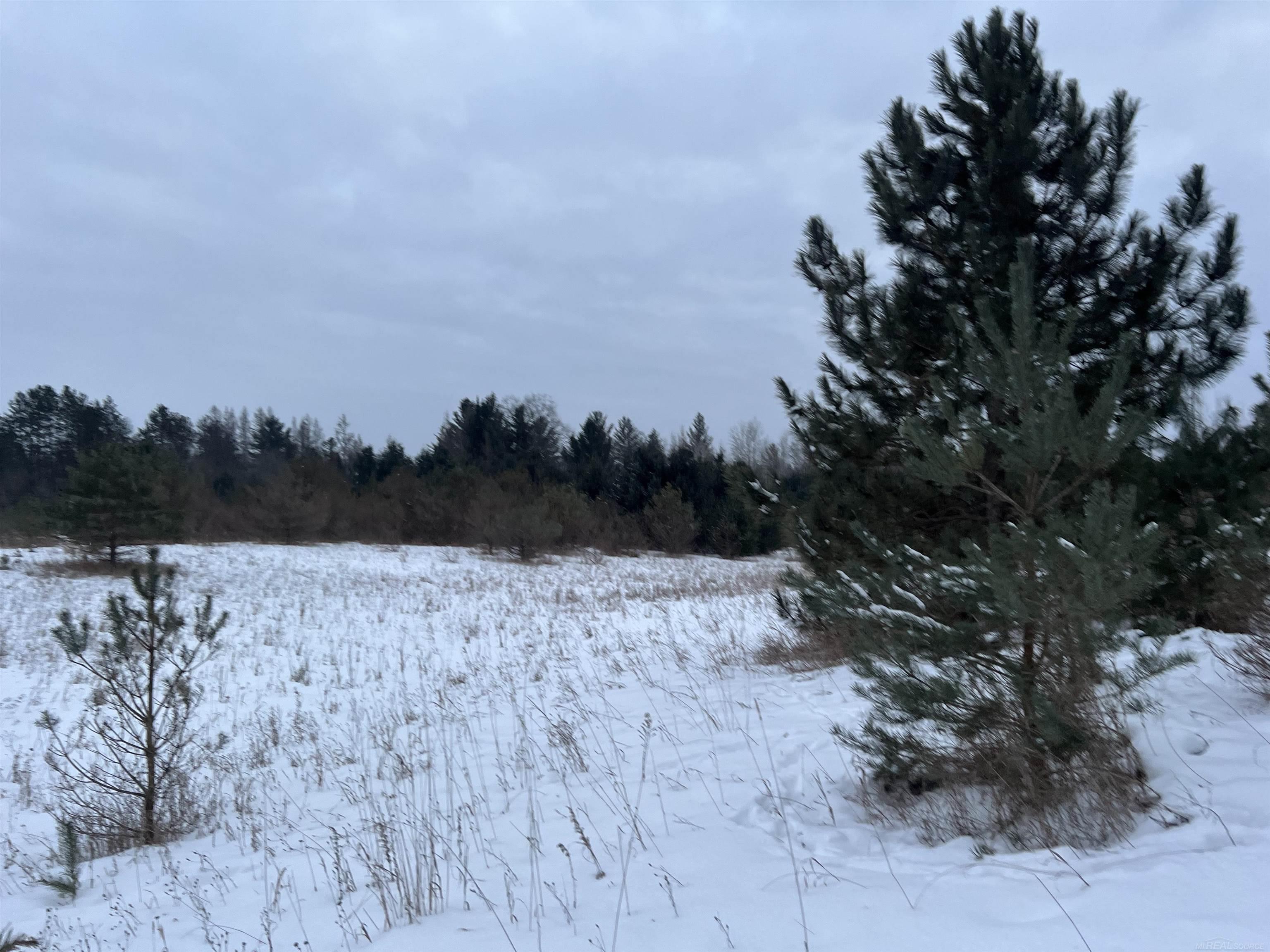 Goodrich Road Herron, MI 49744 - Photo 3 of 19 Gallery Image 3