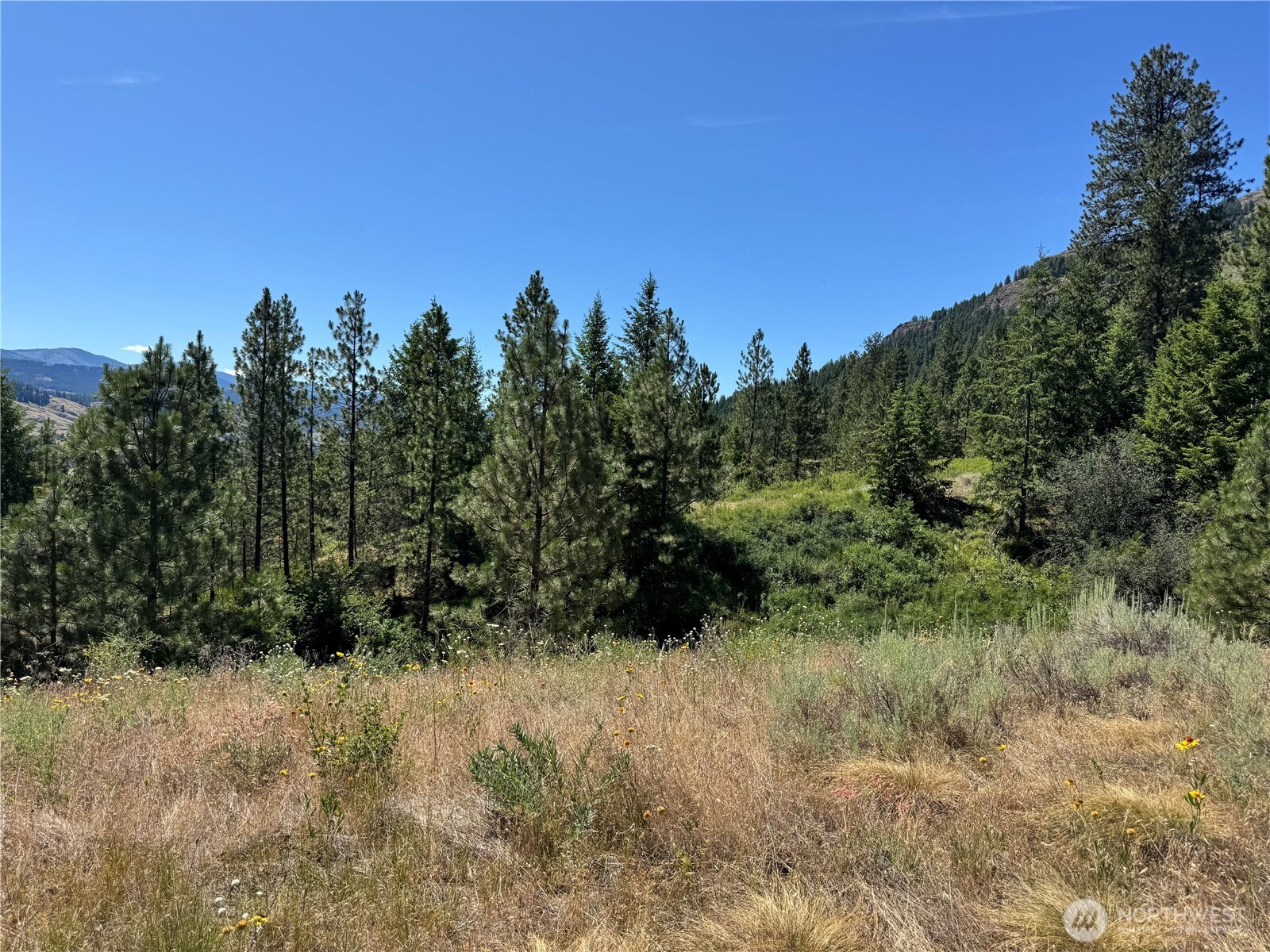 1 A Lundimow Meadows Road Curlew, WA 99118 - Photo 18 of 23